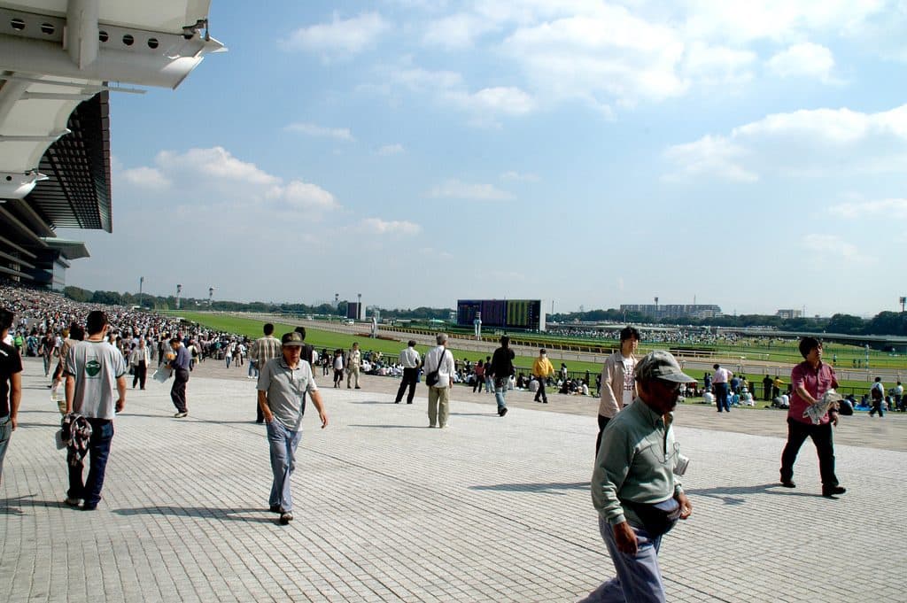 【サウジアラビアRC予想2016】前走圧勝のクライムメジャーで鉄板か？