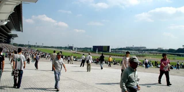 【サウジアラビアRC予想2016】前走圧勝のクライムメジャーで鉄板か？