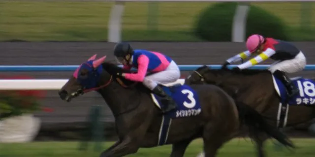 【府中牝馬S2016】メイショウマンボ復活はメンバーが落ちたここ！