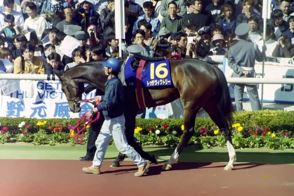 集え猛者よ！伝説の新馬戦へトゥザクラウン初陣へ。