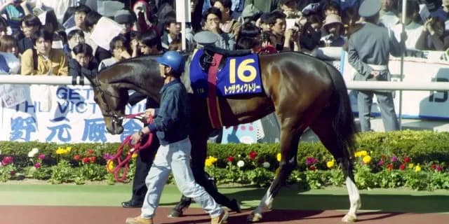 集え猛者よ！伝説の新馬戦へトゥザクラウン初陣へ。