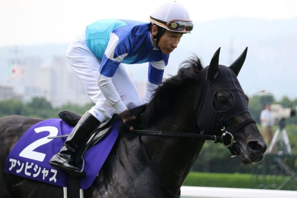 生ける伝説ウィンクスにアンビシャスが挑戦！