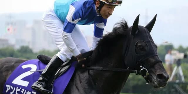 生ける伝説ウィンクスにアンビシャスが挑戦！