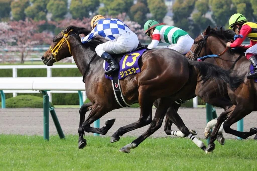 【秋華賞2016予想】これを知ればあなたもジュエラーマスター！秋華賞は桜花賞馬の凡走で大激戦に？！