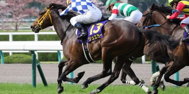 【秋華賞2016予想】これを知ればあなたもジュエラーマスター！秋華賞は桜花賞馬の凡走で大激戦に？！