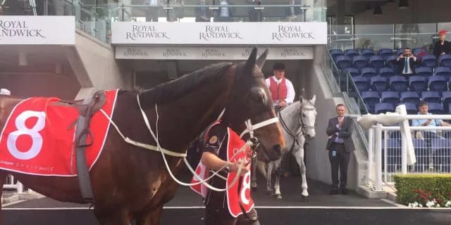 3頭立てのG1が開催されたってホント？