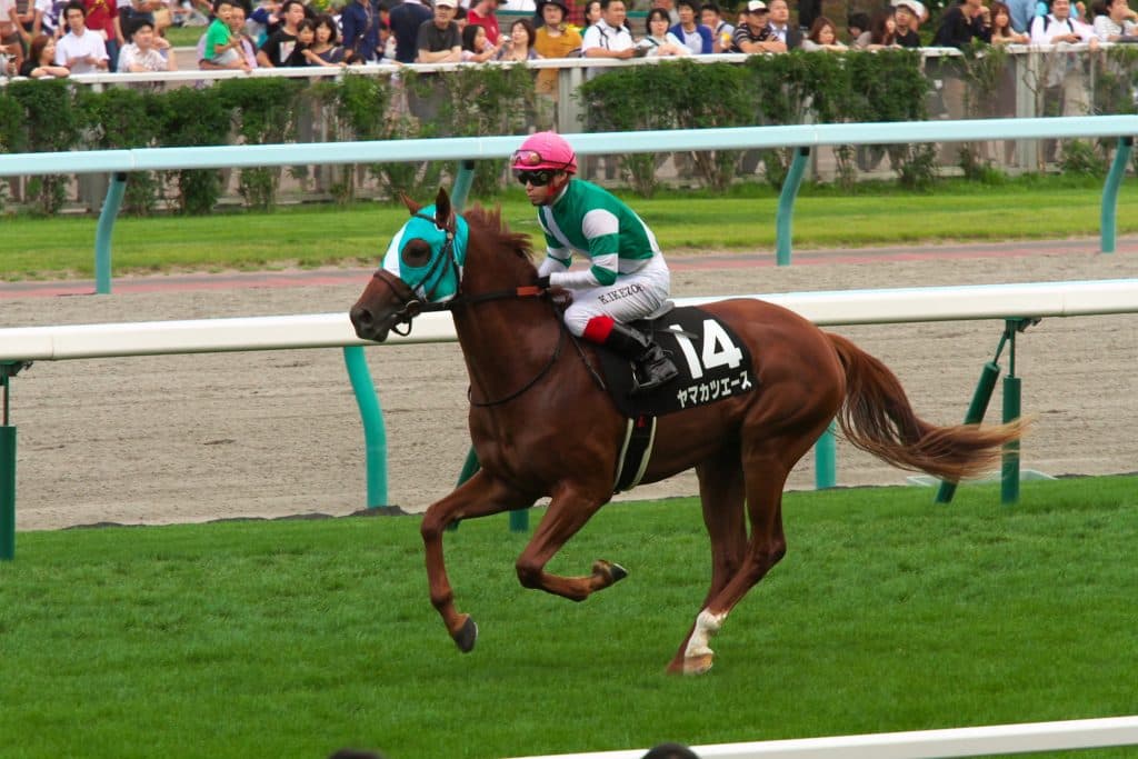 【天皇賞（秋）2016予想】ヤマカツエースが復調次第で穴をあける？！