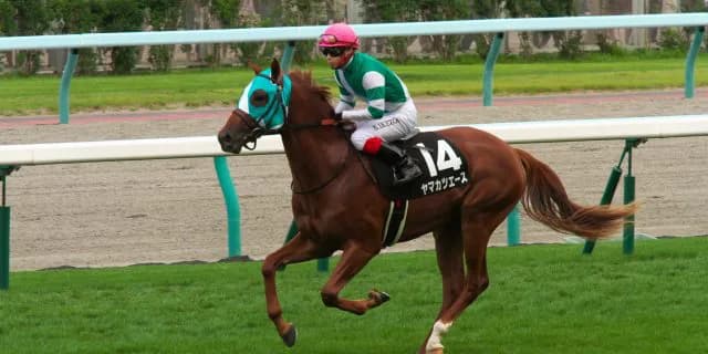 【天皇賞（秋）2016予想】ヤマカツエースが復調次第で穴をあける？！