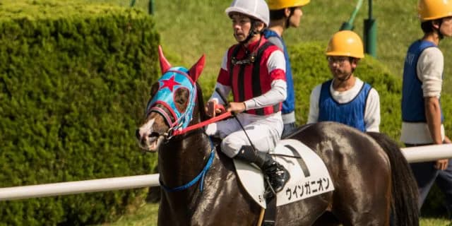 【中京記念2018予想】リピーターの多いレース、今年の該当馬は？