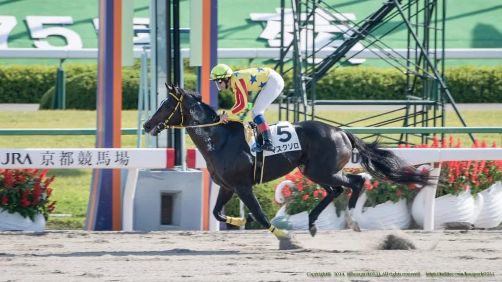 【名鉄杯2017予想】マスクゾロ9ヶ月ぶり復帰戦、最大のライバルは？