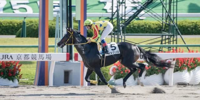 【名鉄杯2017予想】マスクゾロ9ヶ月ぶり復帰戦、最大のライバルは？