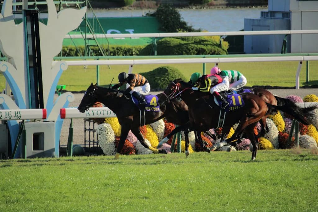 【京都大賞典2016予想】超堅実派のキタサンブラックで間違い無し？初の1番人気も油断は禁物