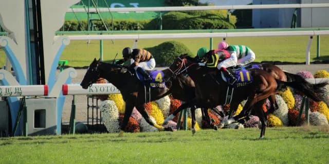 【京都大賞典2016予想】超堅実派のキタサンブラックで間違い無し？初の1番人気も油断は禁物