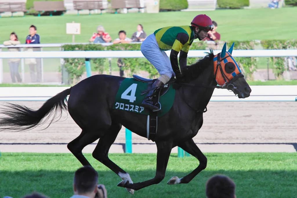 【秋華賞2016登録馬紹介】クロコスミアに重馬場適性あり？
