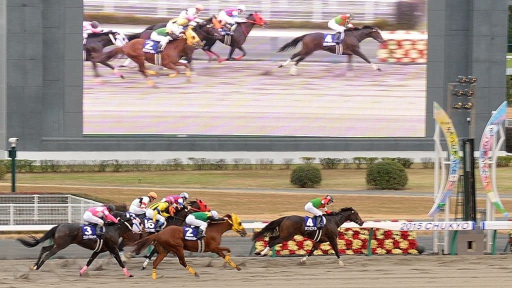 【栄光の瞬間】2003年第4回ジャパンカップダート It's Show Time‼︎