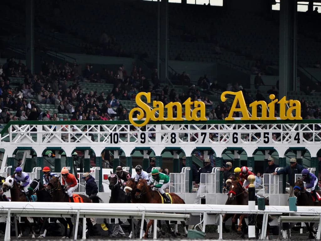 【ブリーダーズカップ2016予想】武豊、ヌーヴォレコルトで4年越しの再挑戦