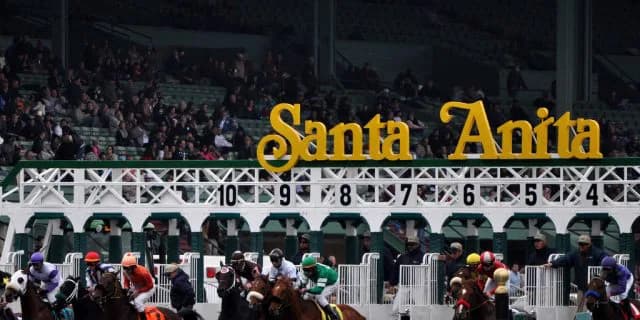 【ブリーダーズカップ2016予想】武豊、ヌーヴォレコルトで4年越しの再挑戦