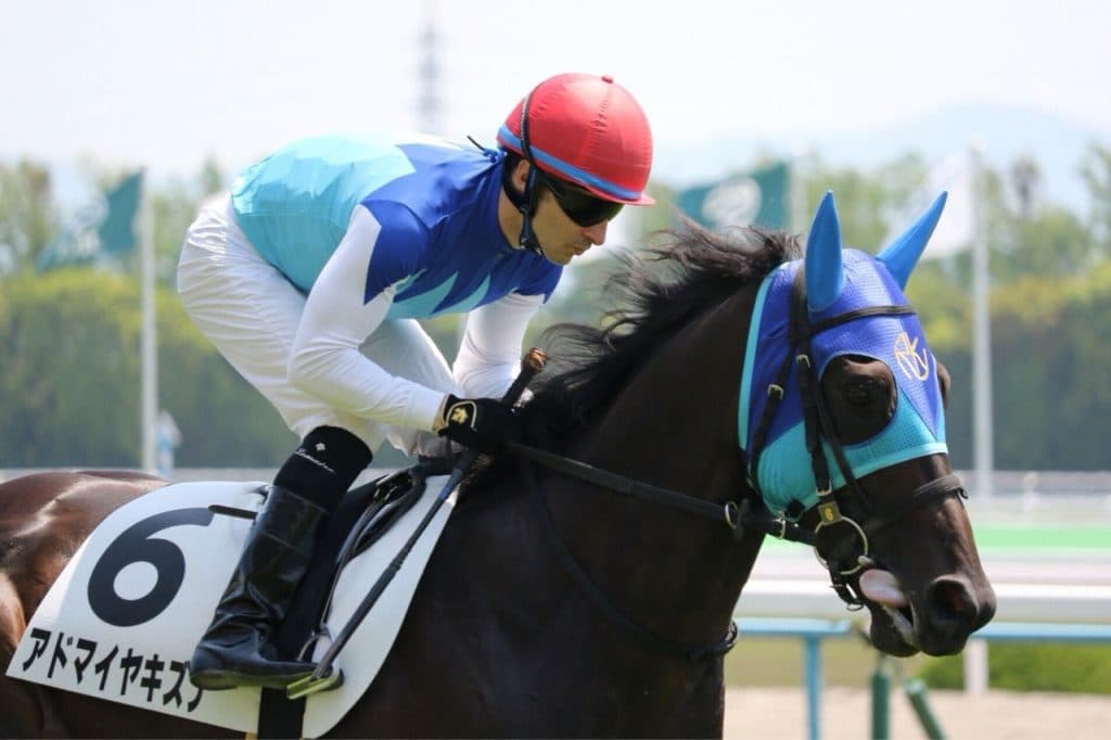【鳴滝特別2016予想】菊花賞に出てほしかった逸材アドマイヤキズナ