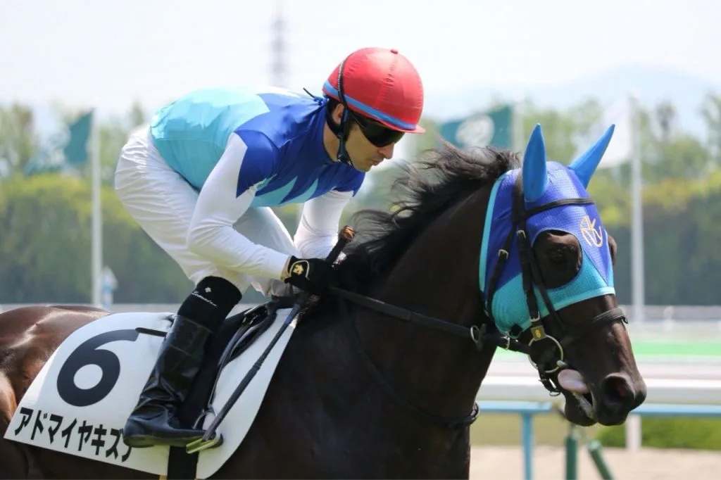 【鳴滝特別2016予想】菊花賞に出てほしかった逸材アドマイヤキズナ