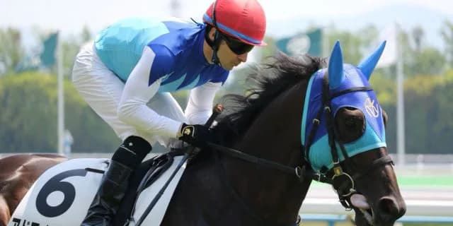 【鳴滝特別2016予想】菊花賞に出てほしかった逸材アドマイヤキズナ