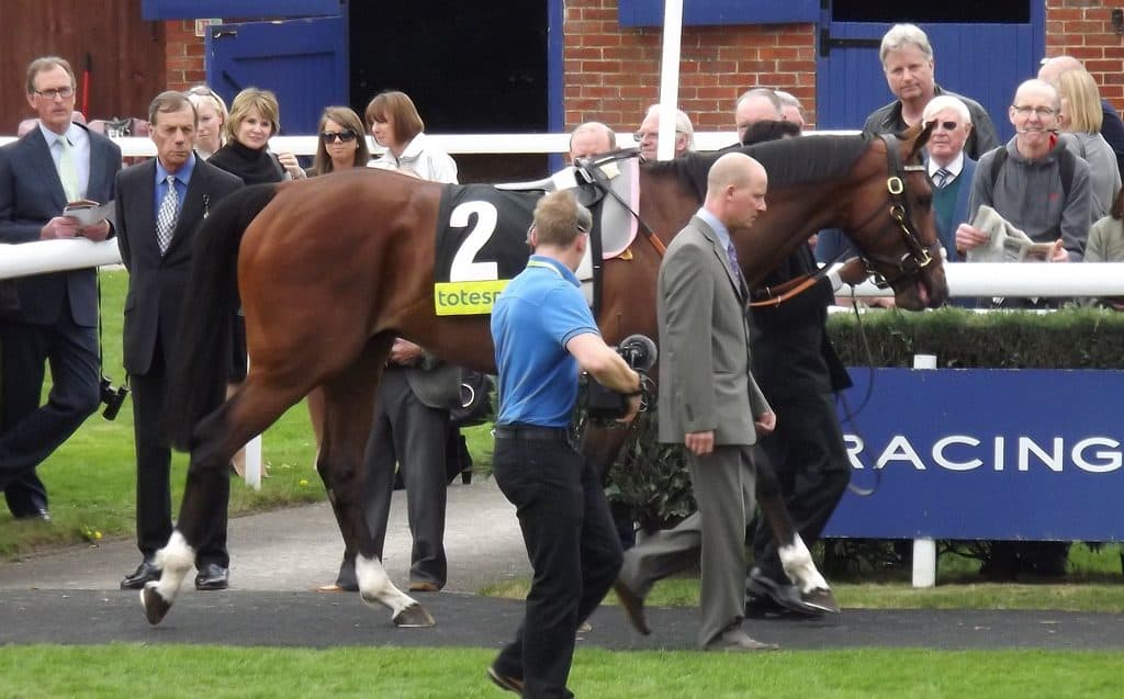 【ファンタジーS予想2016】ミスエルテ、不安よりも期待が大きい