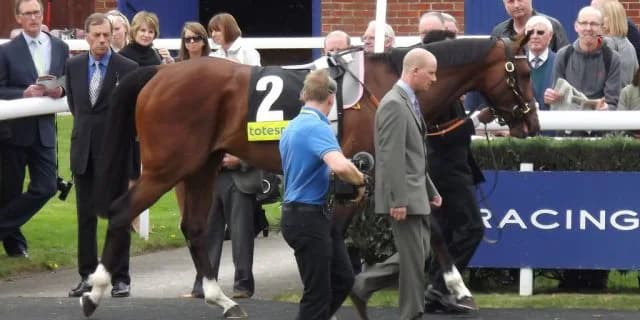 【ファンタジーS予想2016】ミスエルテ、不安よりも期待が大きい