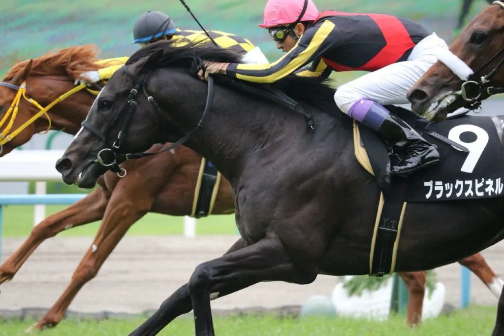 【中山金杯2020予想】ブラックスピネル、次こそ逃げの手を