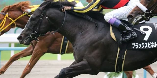 【中山金杯2020予想】ブラックスピネル、次こそ逃げの手を