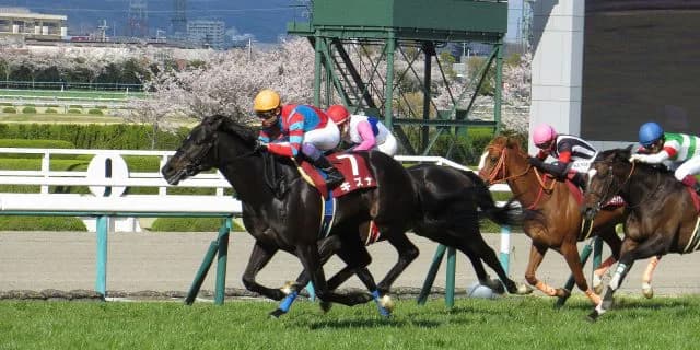 新G1大阪杯を芝1800mにしてはどうか？