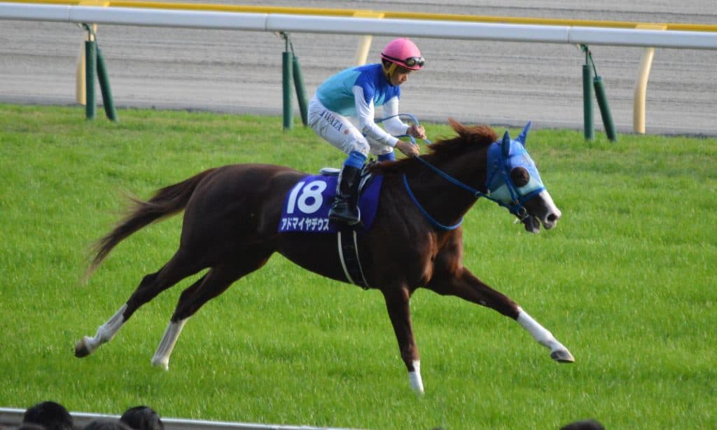 【有馬記念2016予想】復調気配のアドマイヤデウス岩田、G1の壁乗り越えられるか？