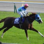 【有馬記念2016予想】復調気配のアドマイヤデウス岩田、G1の壁乗り越えられるか？