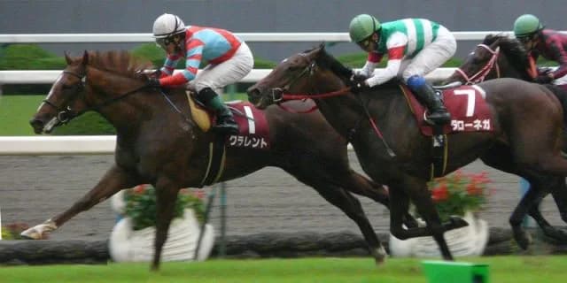 【ヴィクトリアマイル2018予想】レッドアヴァンセ、エリモピクシー産駒初のG1戴冠へ