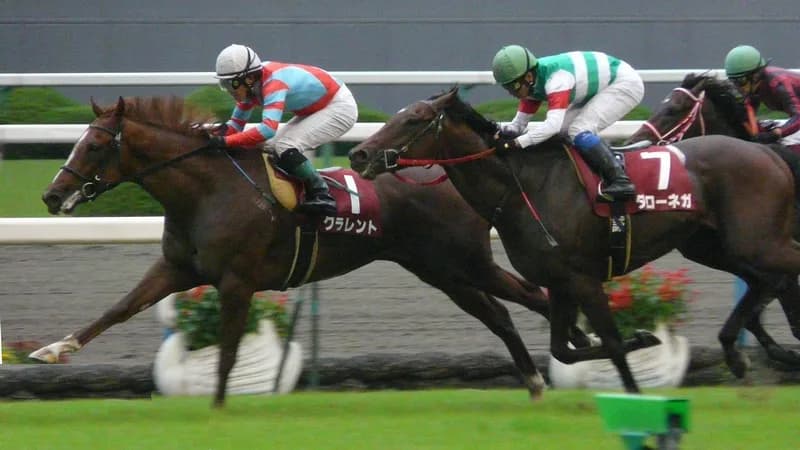 【ヴィクトリアマイル2018予想】レッドアヴァンセ、エリモピクシー産駒初のG1戴冠へ