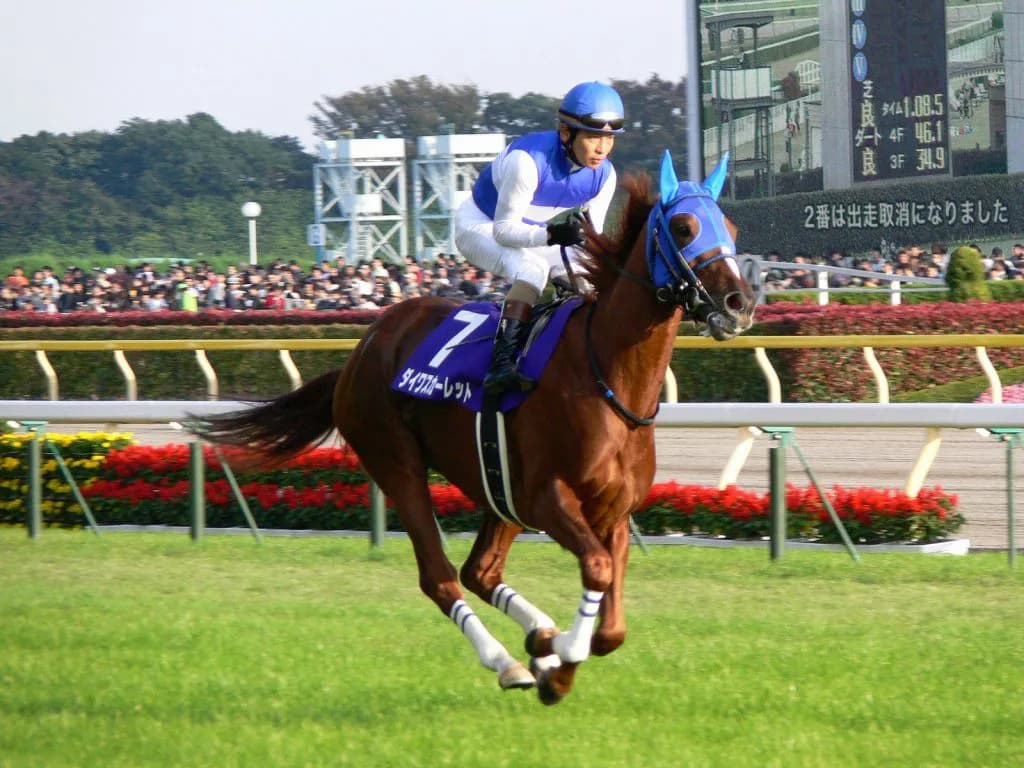 女帝ダイワスカーレットが繁殖牝馬を引退、最後の産駒は11番仔グランスカーレット