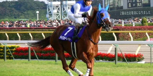 女帝ダイワスカーレットが繁殖牝馬を引退、最後の産駒は11番仔グランスカーレット