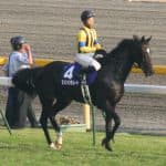 【JRA】ダンスインザムードが亡くなる、04年桜花賞と06年のヴィクトリアマイル覇者