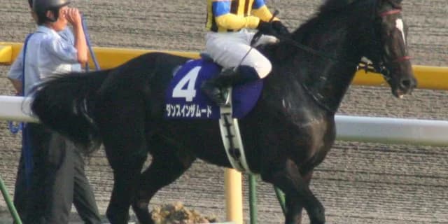 【JRA】ダンスインザムードが亡くなる、04年桜花賞と06年のヴィクトリアマイル覇者