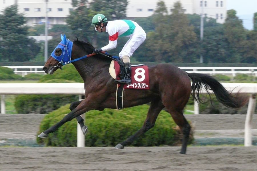 【オータムリーフS予想2016】ゴーイングパワー前走大敗からの巻き返し。