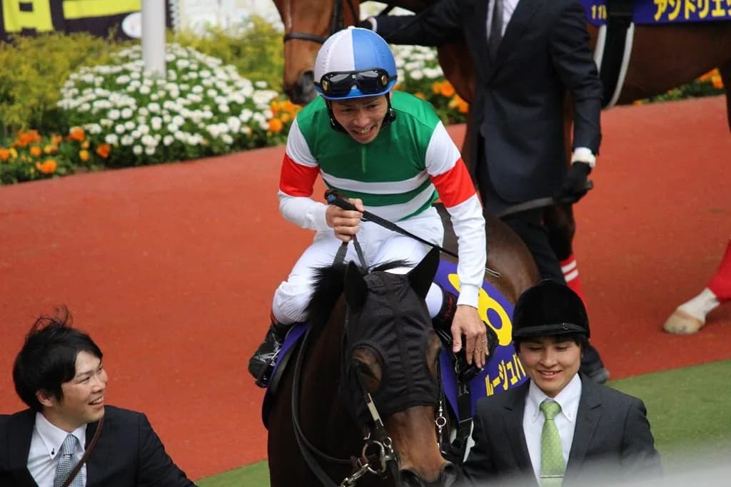 ルージュバック引退、繁殖入りへ