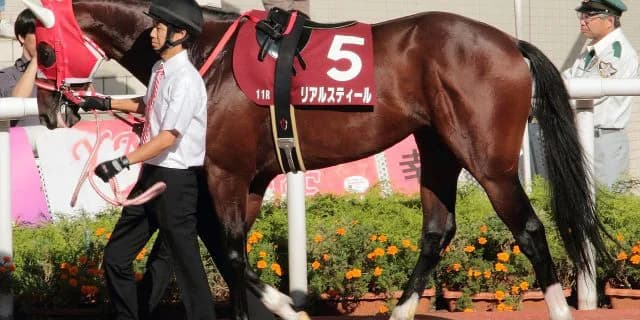 【中山記念2017予想】リアルスティールに立ちはだかるは馬じゃなく人？