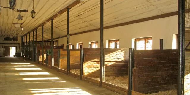 新種牡馬ドレフォン、2大血統全盛に風穴を開けられるか？