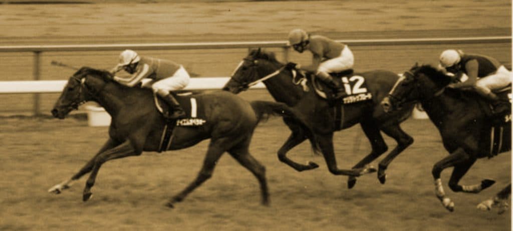 今後乗り替わりなしで走り抜ける名馬は生まれるだろうか？