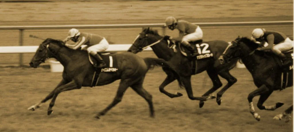 今後乗り替わりなしで走り抜ける名馬は生まれるだろうか？