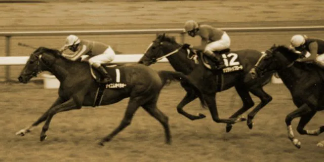 4歳年度代表馬にとって受難の5歳シーズン