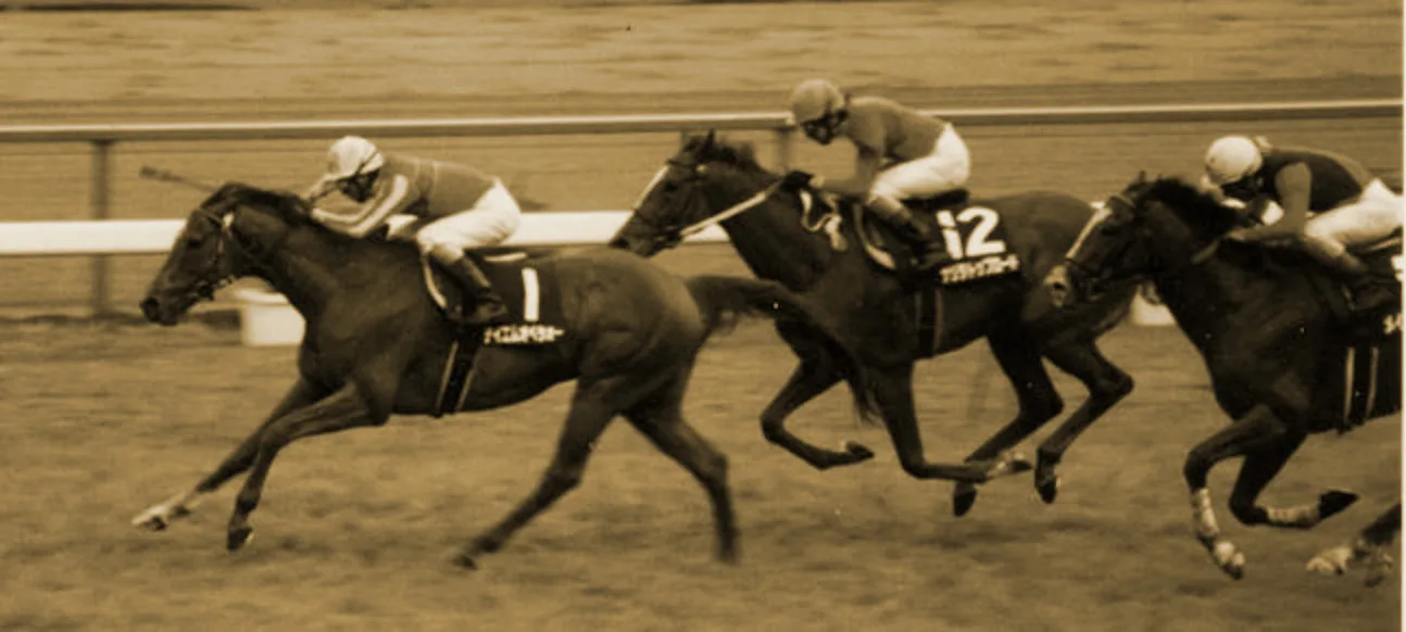 4歳年度代表馬にとって受難の5歳シーズン