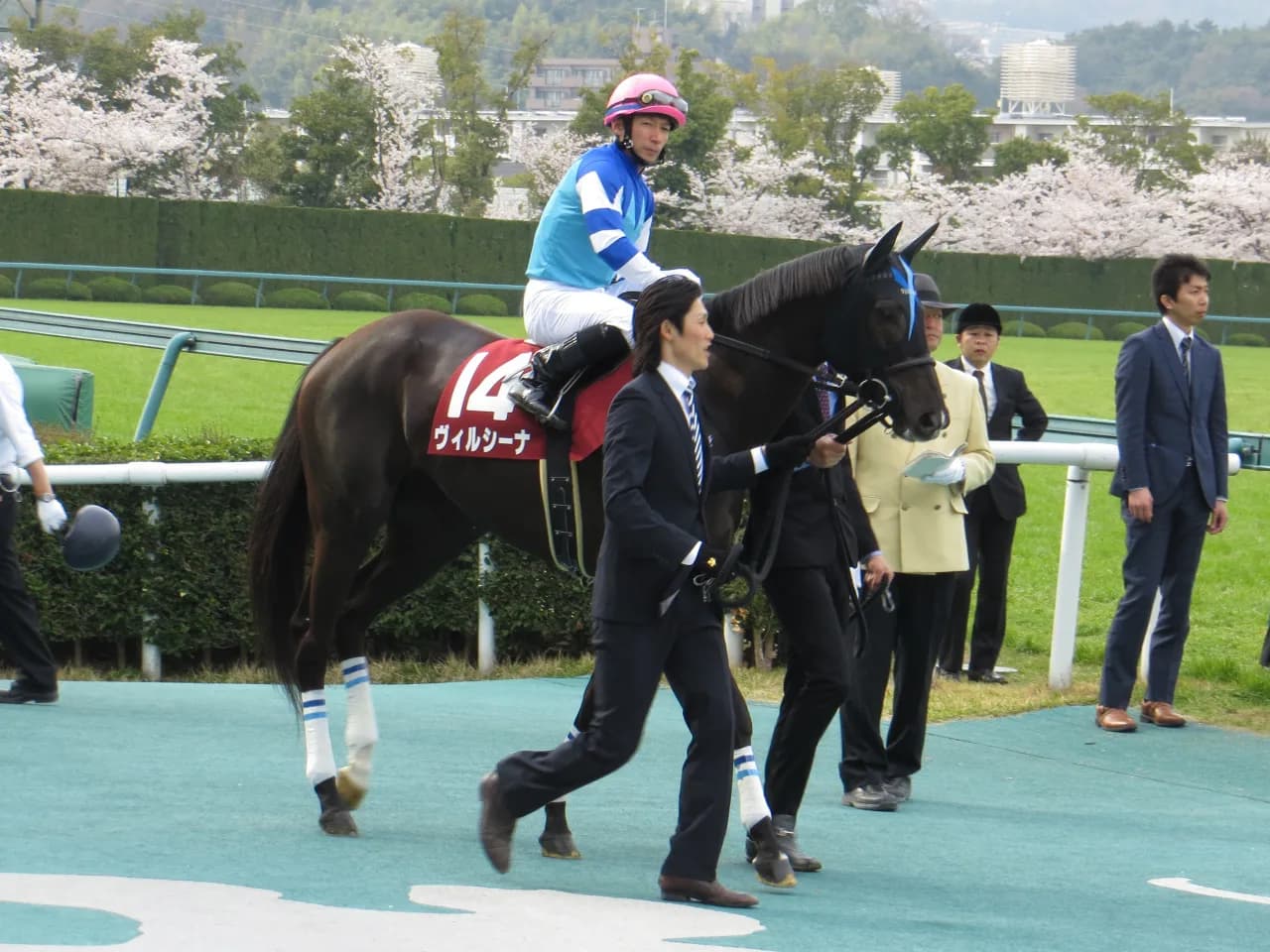 【注目新馬】ヴィルシーナ初仔ブラヴァス、鞍上武豊騎手でデビュー