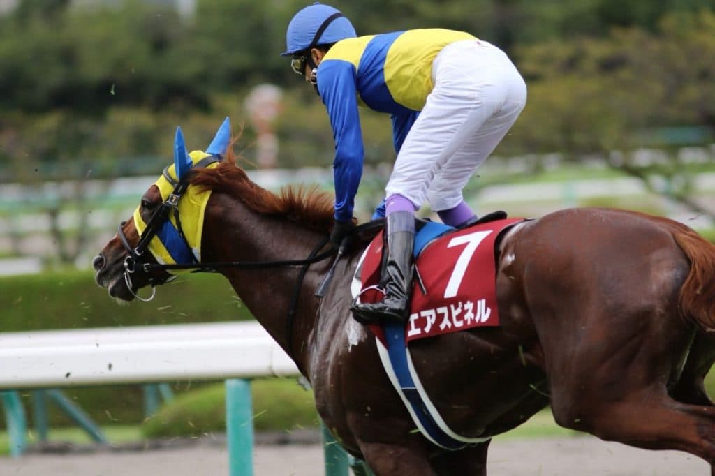 【むらさき賞2018予想】エアウィンザー、荒れるハンデ戦を制してオープンへ