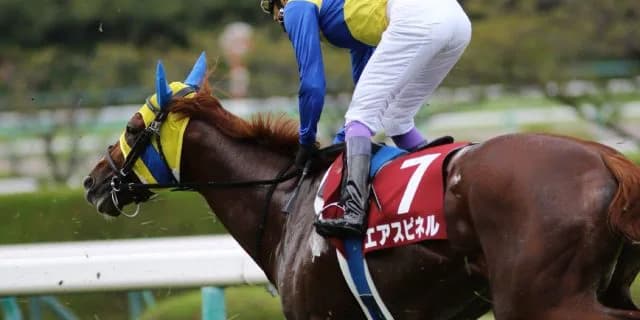 【むらさき賞2018予想】エアウィンザー、荒れるハンデ戦を制してオープンへ