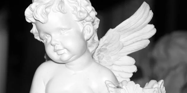 【秋華賞2016出走馬】エンジェルフェイスは人気落ちの可能性もあり狙いやすい？