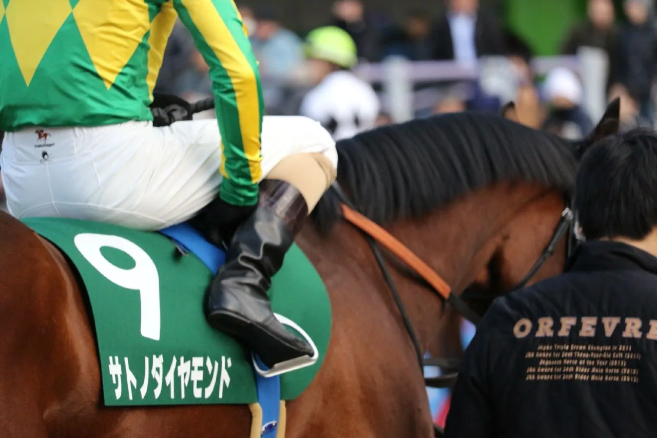 初年度の種付け数144頭の新種牡馬・サトノダイヤモンドの魅力とは？